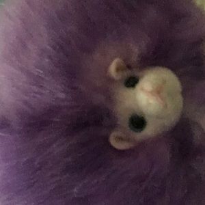 Meet your Posher, Montserrat